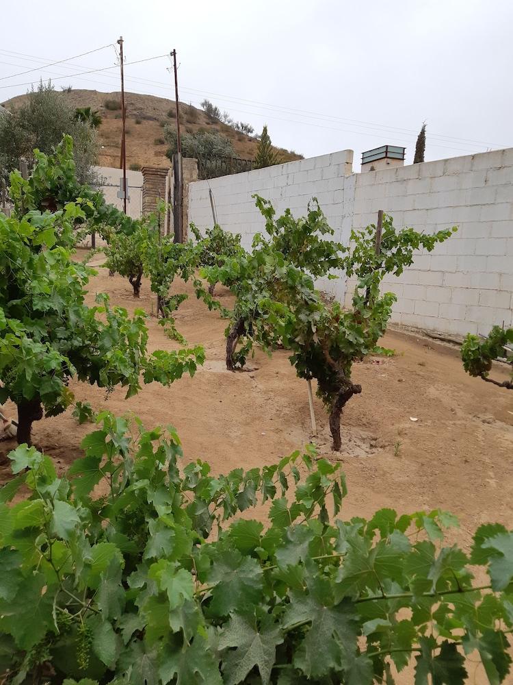 ואלה דה גוואדלופה Hotel Meson Del Vino מראה חיצוני תמונה