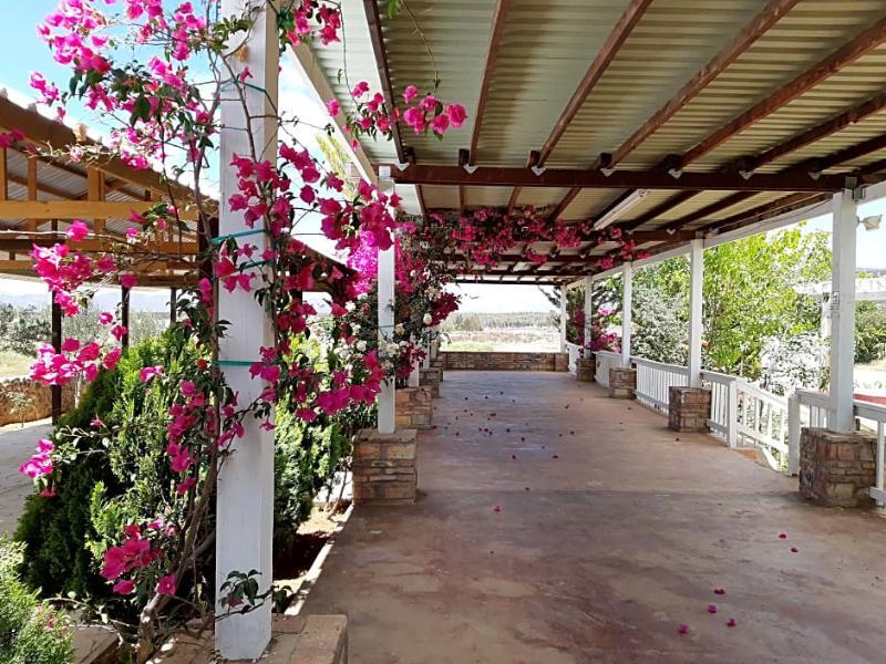 ואלה דה גוואדלופה Hotel Meson Del Vino מראה חיצוני תמונה
